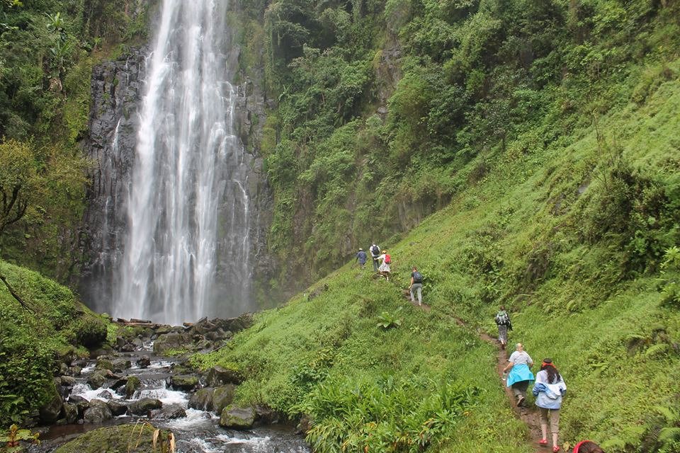 Kilimanjaro Coffee Tour & Waterfalls Hike with Ark Adventures
